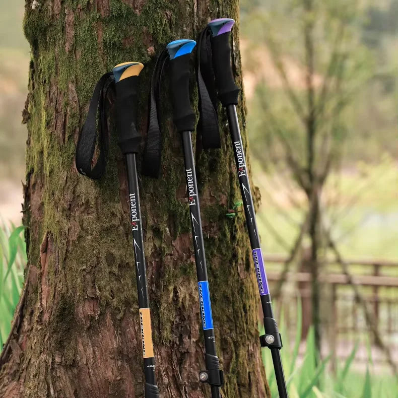 Carbonlite Hiking Walking Poles